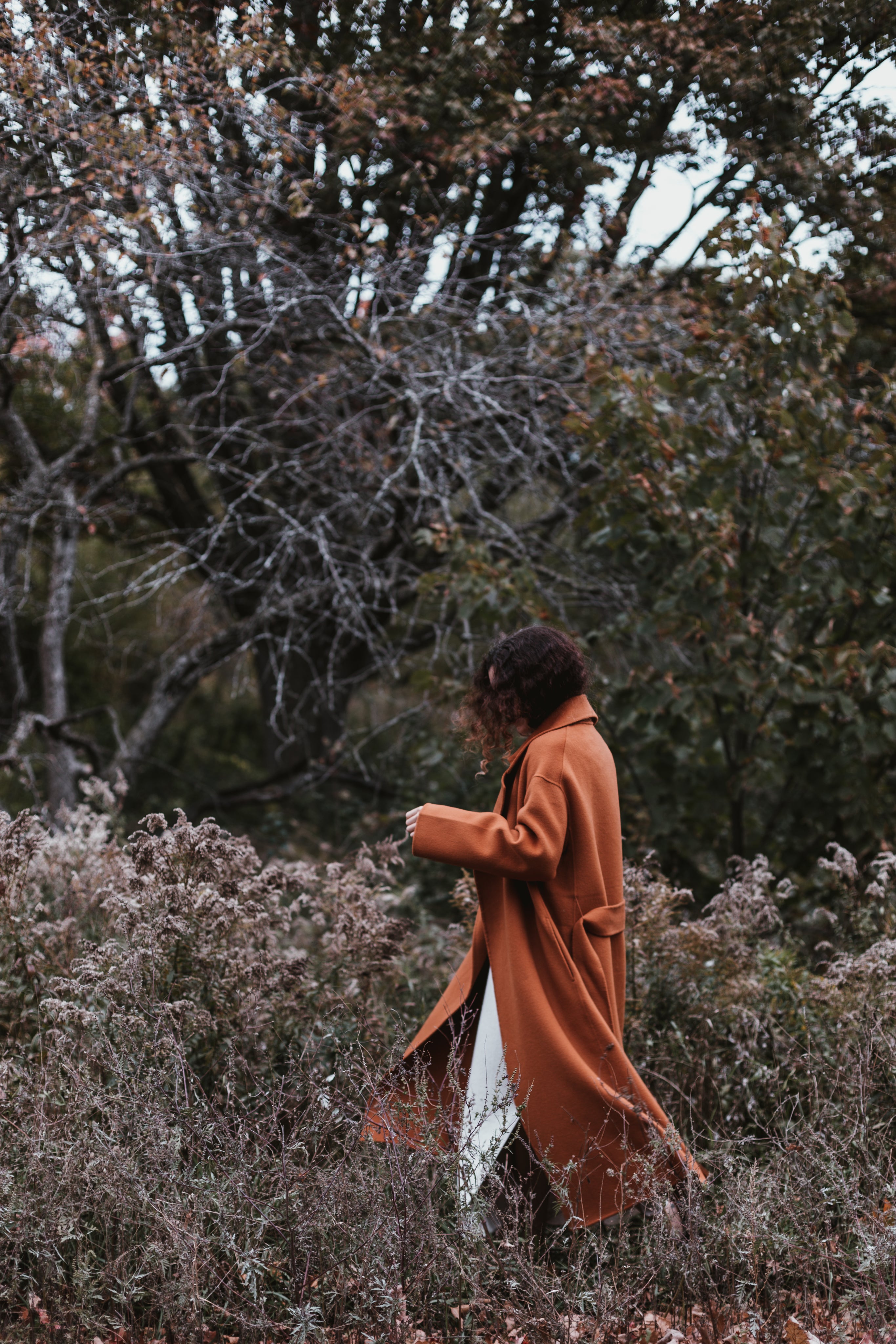 <em><strong> Laura Neri</strong></em>